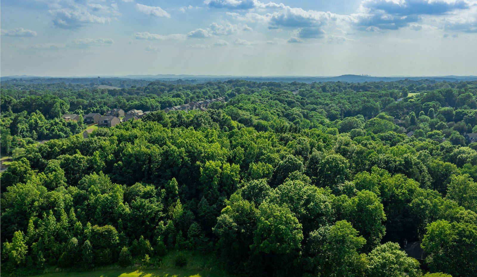 Aerial view of a northern community within a wide forest landscape.